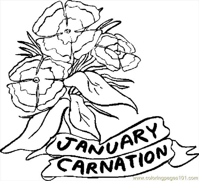650x591 January Coloring Pages Coloring Pages January Carnation