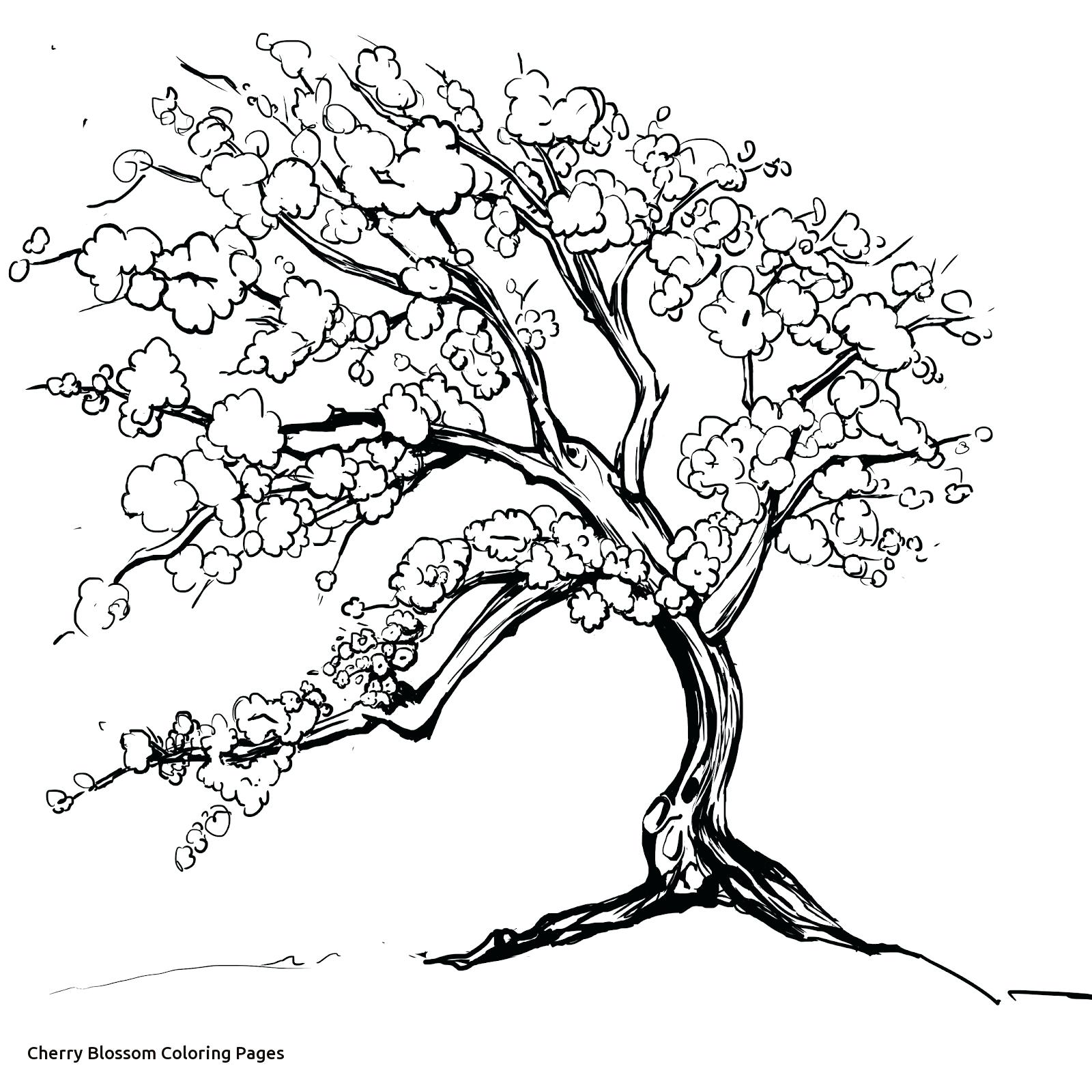 1600x1600 Cherry Blossom Japan Coloring Pages For Adults Justcolor
