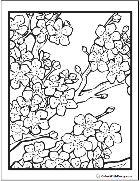 590x762 Adult Coloring Pages Customize Printable Pdfs Cherry