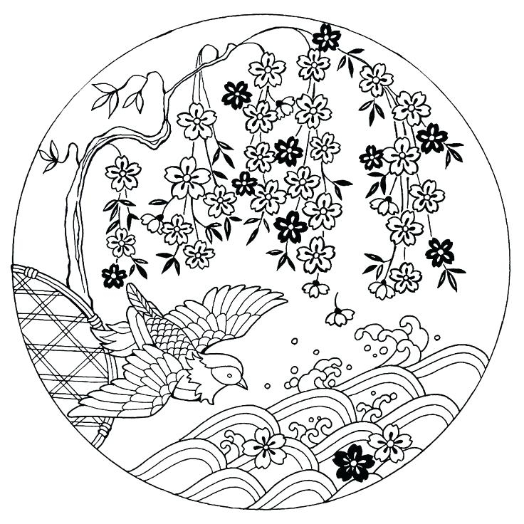 736x736 Japanese Coloring Books Cherry Blossoms With Bird Coloring Book