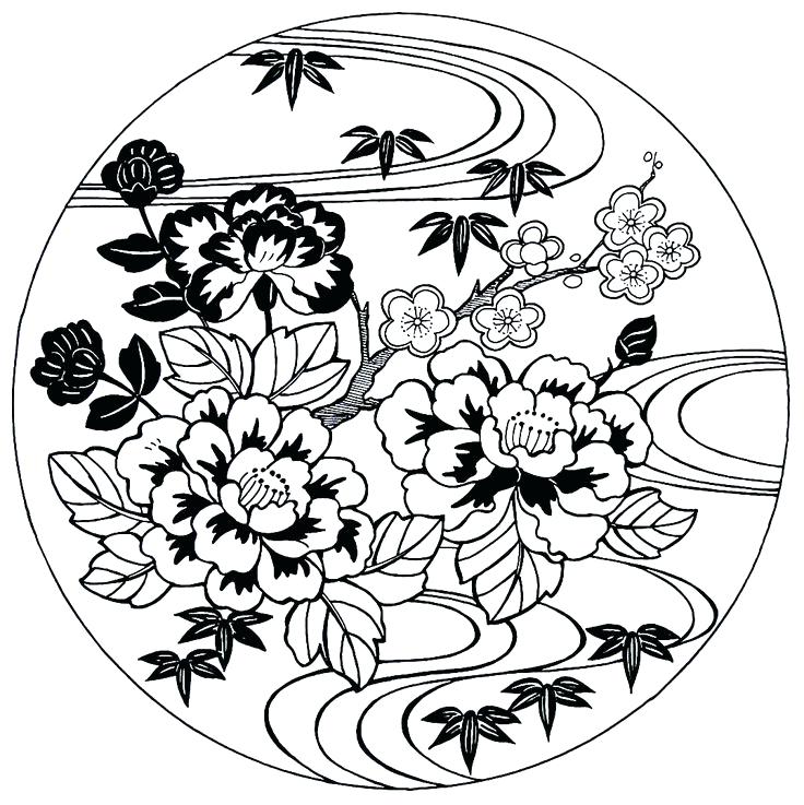 736x737 Best Of Cherry Blossom Coloring Pages And Peonies Cherry Blossoms
