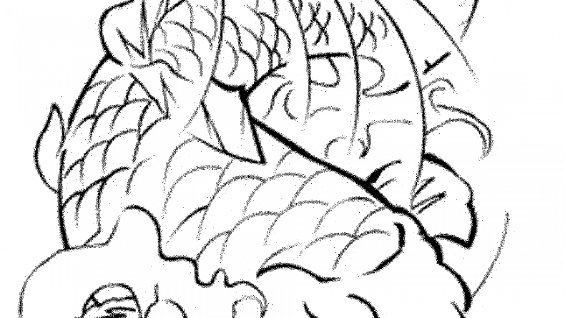 1920x1080 Coloring For Kids Remarkable Football Fish Page Pages Letter