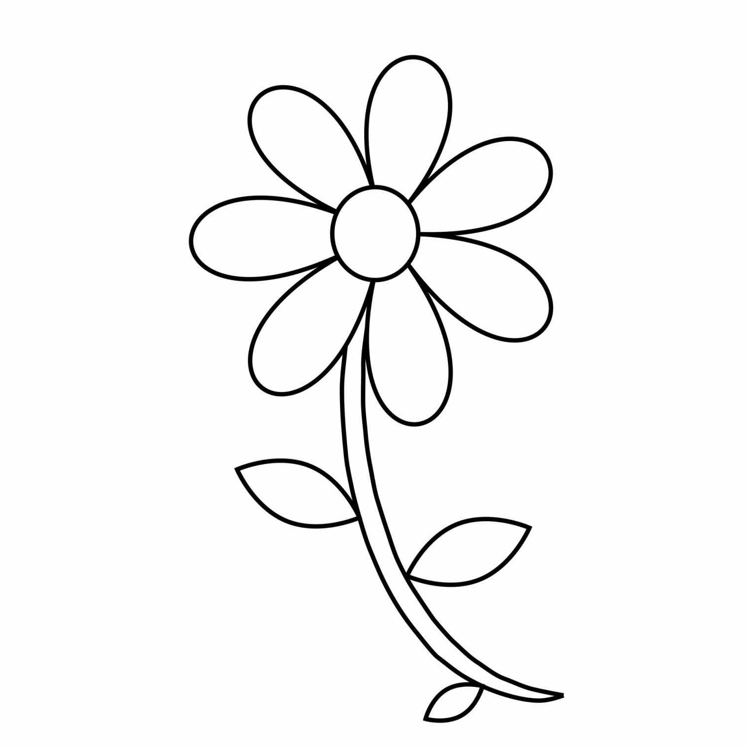 1514x1517 Shaded Top Rose Flower Coloring Pages Free Kids Children And Top