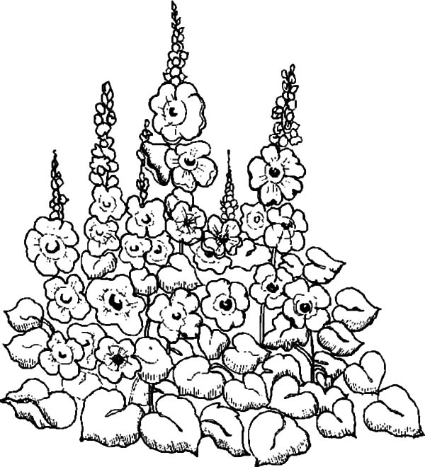 600x660 Free Printable Coloring Pages