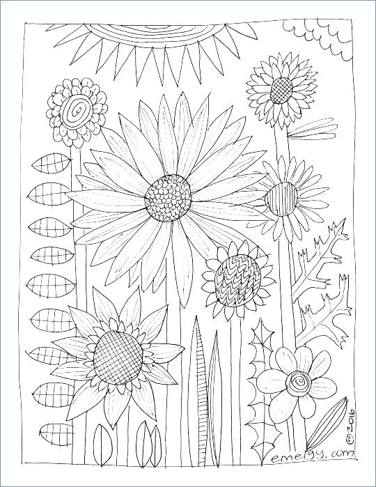 540x699 Garden Coloring Book