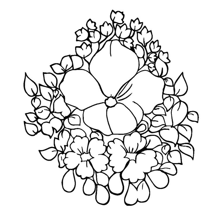 736x736 Jasmine Flower Colouring Pages