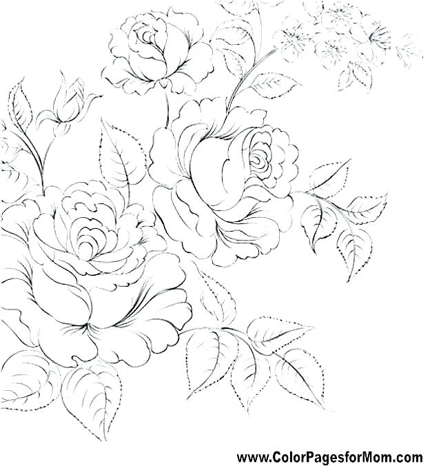 640x676 Jasmine Flower Colouring Pages Coloring Free Great With Flowers