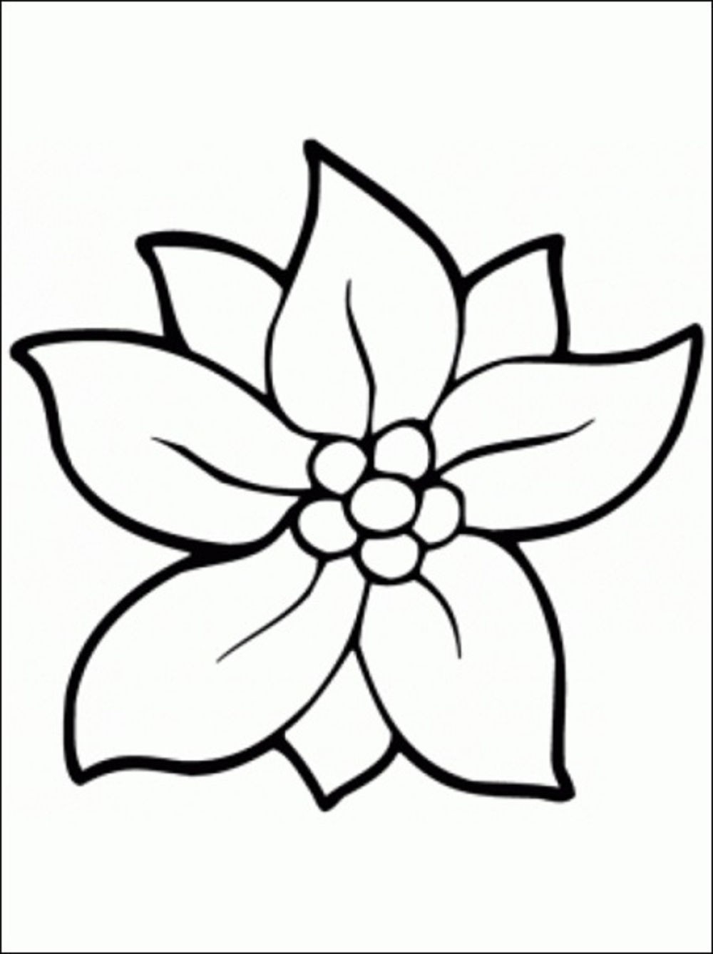 1000x1338 Unique Jasmine Flower Coloring Sheet Collection Printable