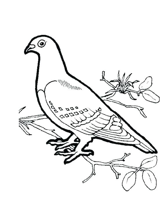580x758 Jason Voorhees Coloring Pages Dove Coloring Pages Bird Coloring