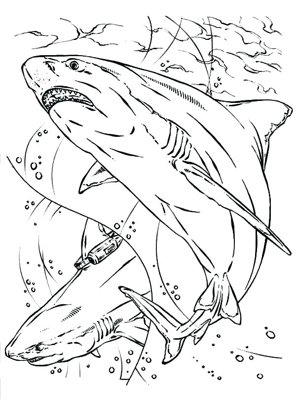 600x847 Jaws Coloring Pages S S S Printable Jaws Coloring Pages