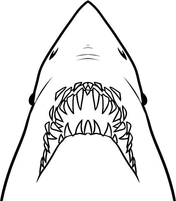 600x687 Jaws Ready To Ripped Out Coloring Pages Best Place To Color