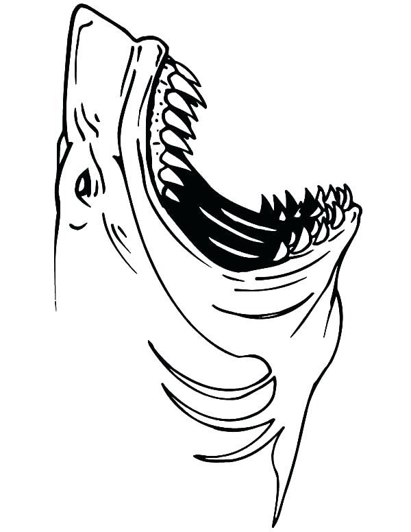 600x776 Shark Color Page Shark Color Page Jaws Jaws Shark Coloring Pages