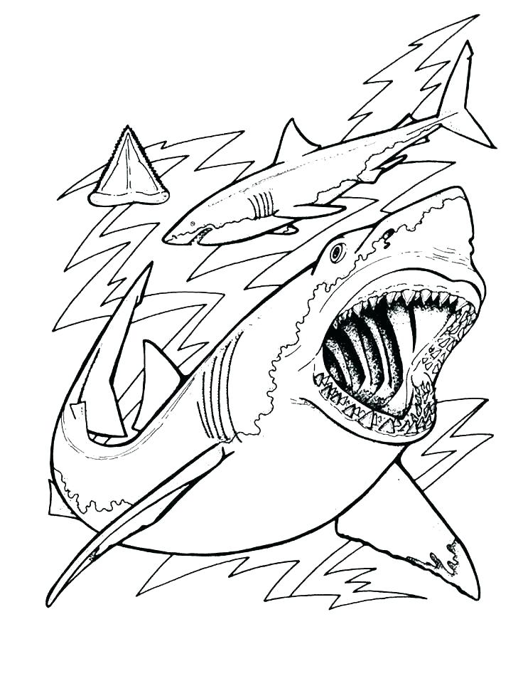 736x957 Shark Printable Coloring Pages Printable Shark Coloring Pages
