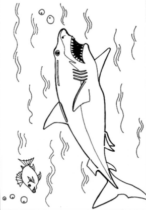 290x418 Sharks Shark Jaws Coloring Page, Shark, Tiger Shark, Sharks