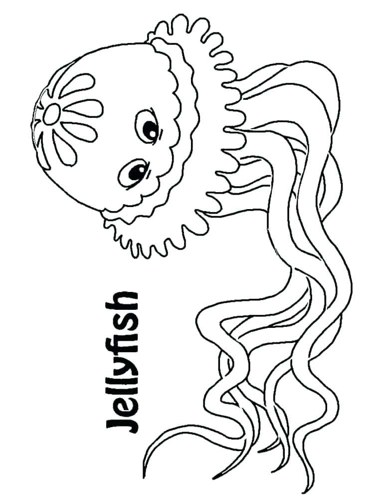 750x1000 J Coloring Pages J Coloring Pages Jelly Fish Coloring Page Cute