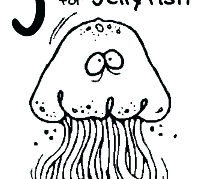 678x600 Jelly Fish Coloring Pages