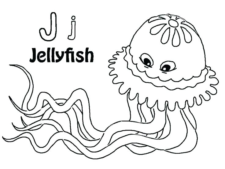 736x552 Pictures Of Jellyfish To Color Jelly Fish Coloring Page Jellyfish
