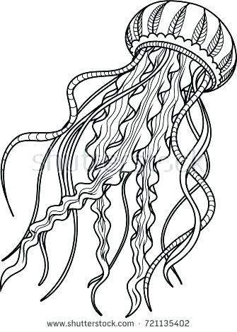 335x470 Jellyfish Coloring Page
