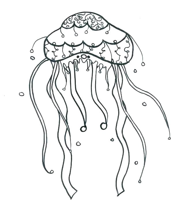 600x744 Jellyfish Coloring Page Coloring Pages Of Jellyfish Jelly Fish