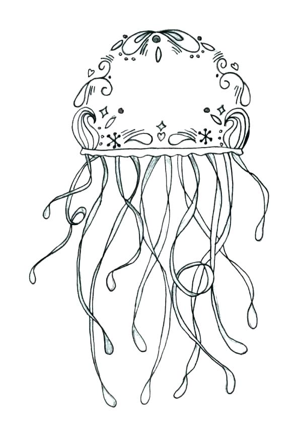 600x862 Jellyfish Coloring Page Jellyfish Coloring Page For Adults