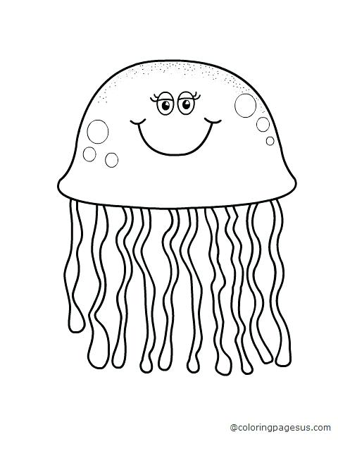 480x640 Jellyfish Coloring Pages Preschool