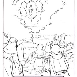 268x268 Interesting Coloring Pages For Adults Archives