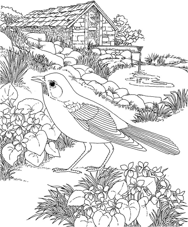 736x887 Best Mandaly Images On Coloring For Adults, Doodles