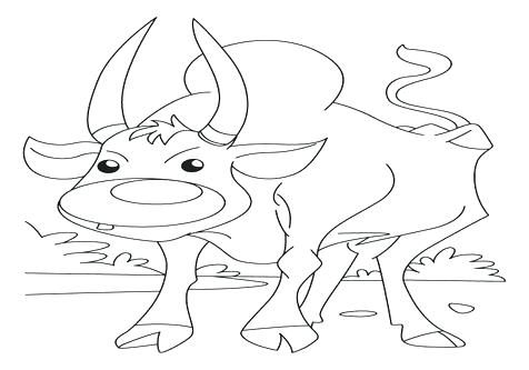 476x333 Ox Coloring Page