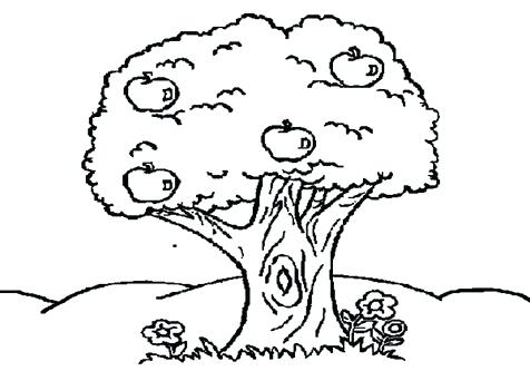 476x333 Trees And Flowers Coloring Pages Page Image Images Coloring Trend
