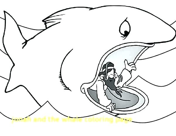 600x463 Jonah Coloring Pages Elegant Free Printable And The Whale Coloring