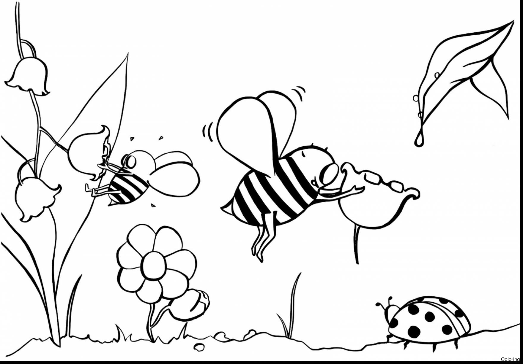 1760x1227 How Draw Michael Jordan Symbol Gallery Symbol And Sign Ideas