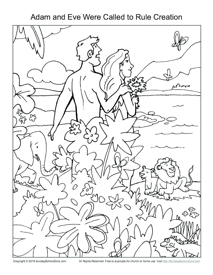 736x952 Free Coloring Pages Bible Free Colouring Pages Of Bible Stories