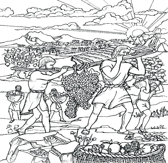 663x645 Joshua And Caleb Coloring Pages Vanda