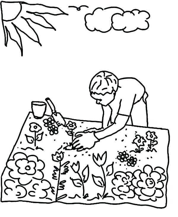 600x731 Plant Coloring Pages Pitcher Coloring Pages Colouring Pages