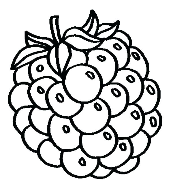 600x652 Grapes Coloring Pages Juice Coloring Page Grapes Fresh Juice