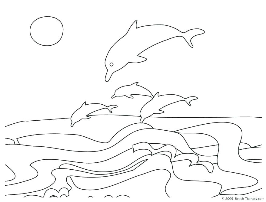 878x668 Dolphin Tale Coloring Pages To Print Page Jumping Drawing Coloring