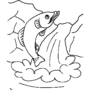 300x300 Fish Jumping Coloring Sheet
