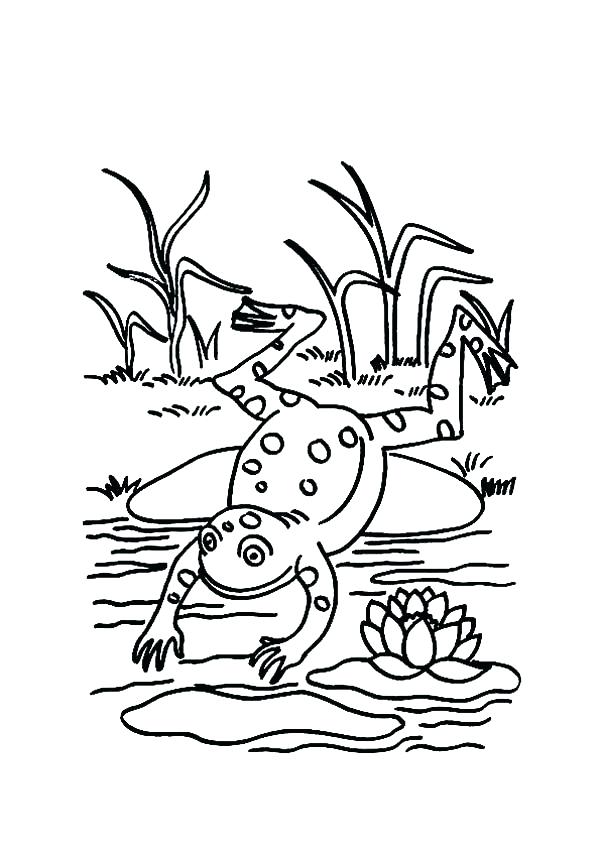600x849 Pond Coloring Page Jumping Frog Coloring Page Collection Pond