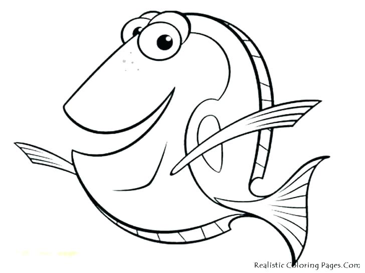 728x546 Trout Fish Coloring Pages Fishing Coloring Pages Fish Fishing