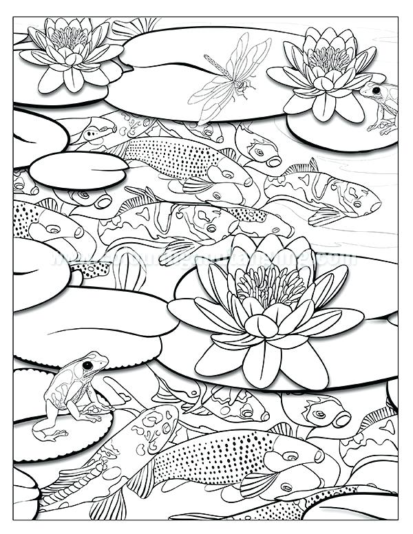 600x776 Pond Colouring Pages Free Coloring Month Of June Coloring Pages