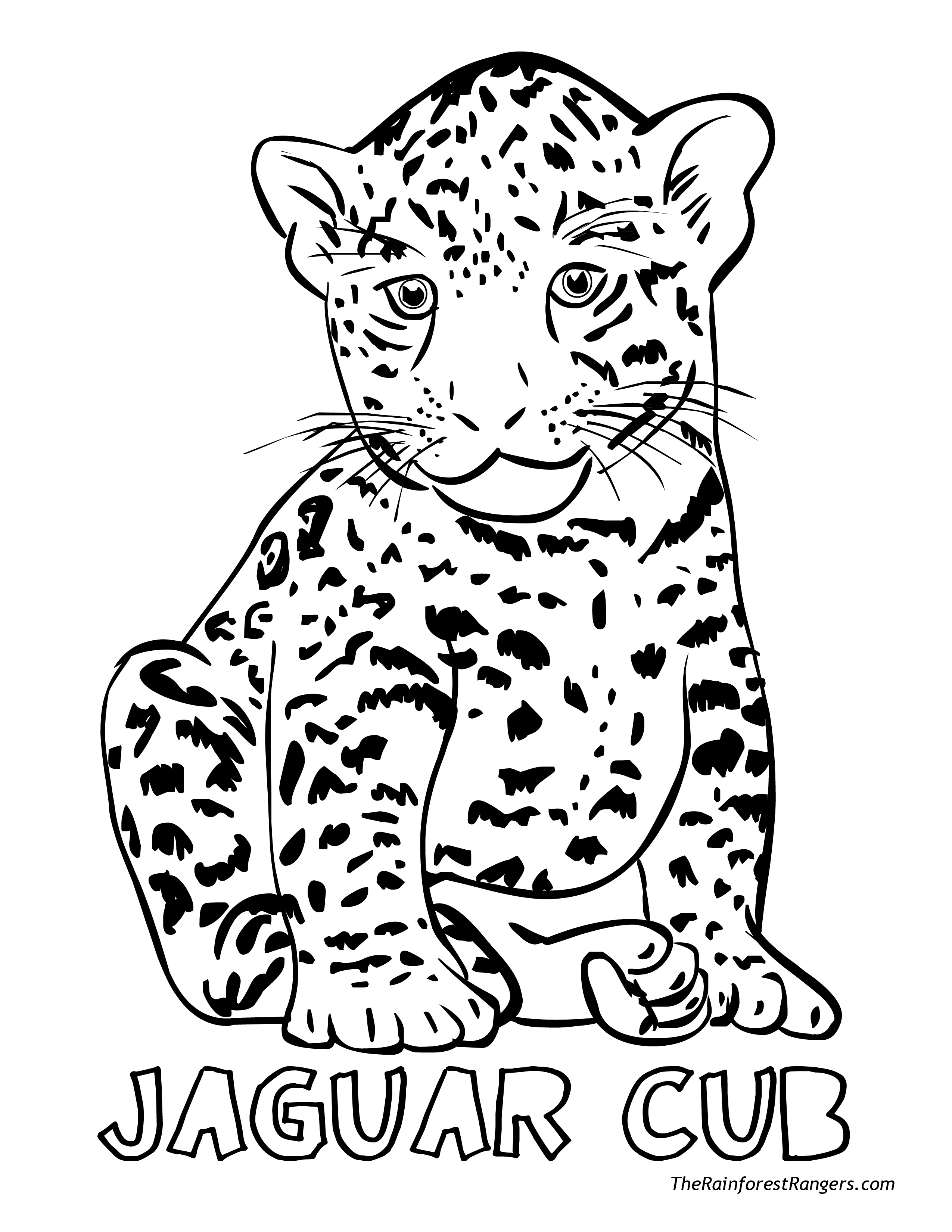 2550x3300 Jungle Coloring Pages