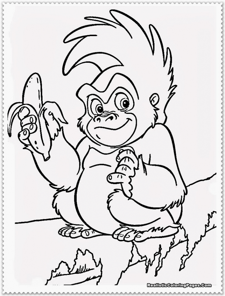 778x1024 Easy To Draw Jungle Animals Preschool Coloring Pages Jungle