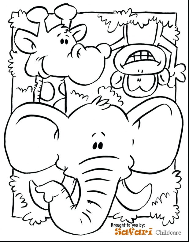 618x790 Jungle Animals Coloring Pages