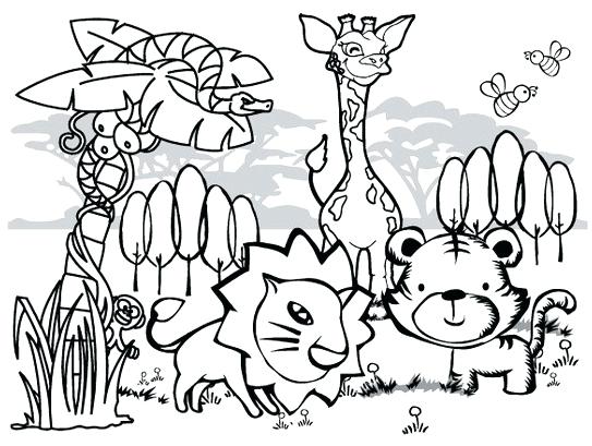543x409 Jungle Animals Coloring Pages With Jungle Animals Coloring Pages