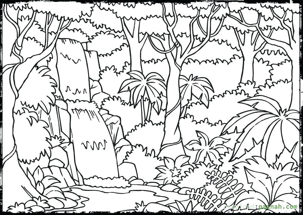1024x728 Jungle Coloring Page Jungle Junction Coloring Pages