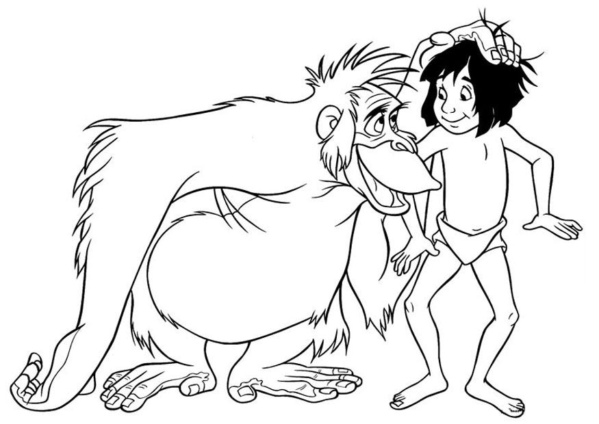 875x620 Coloring Page Jungle Book