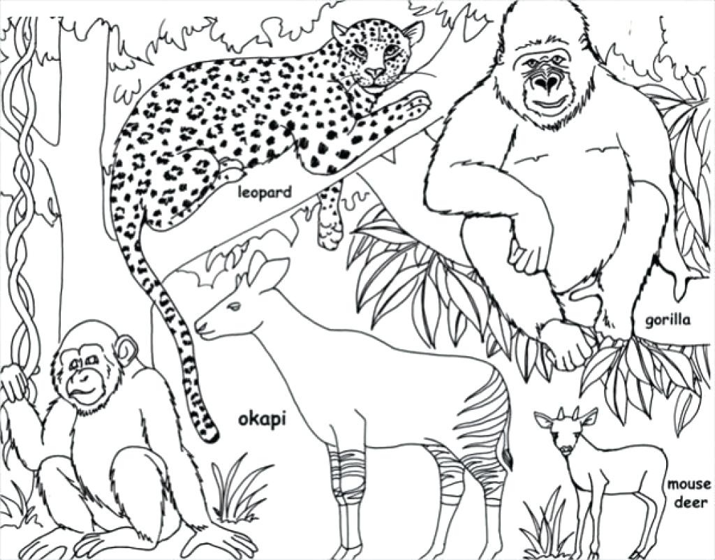 1024x802 Jungle Book Coloring Pages To Download And Print Beautiful