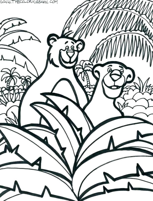 618x810 Jungle Coloring Page Jungle Coloring Page Tropical Coloring Page