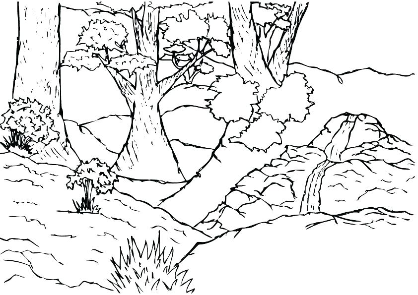 842x595 Jungle Coloring Page Jungle Coloring Sheets Jungle Scene Coloring