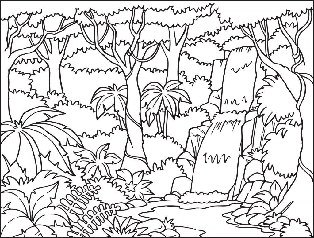 1024x779 Tropical Rainforest Coloring Pages Color Jungle Coloring Book